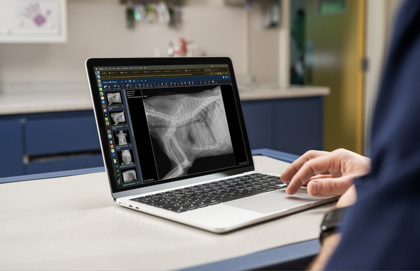 Les radiographies et les échographies détaillées sont présentées en direct sur des MacBook Air.